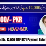 Get Rs. 12,000 BISP 8171 Payment Before November – Easy Verification Guide 2025