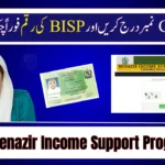 BISP Beneficiary Status Check 2025 – Easy CNIC Verification & Payment Tracking