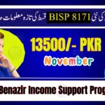 8171 Tracking Portal November 2025 – Check CNIC and Payment Details Online