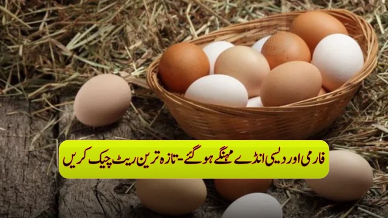 Farmi And Desi eggs have become more expensive - Check Latest rates
