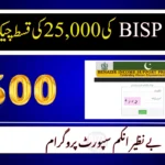 BISP 8171 Rs. 25,000 November Qist: Check Status by CNIC Now
