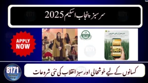 Sarsabz Punjab Scheme 2025 – New Solar and Water Projects Announced for Farmers