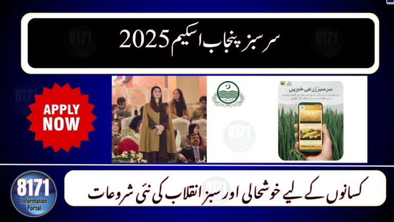 Sarsabz Punjab Scheme 2025 – New Solar and Water Projects Announced for Farmers