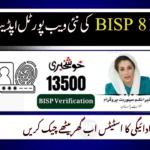 8171 Web Portal Re-Update: Check BISP Payment by CNIC (3 November 2025 Update)