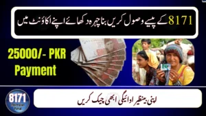 Receive BISP 8171 Rs. 25,000 Payment in Bank Account Without Showing Your Name